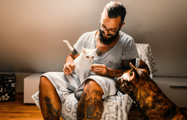 Man cuddling in armchair with his white cat and with his dog