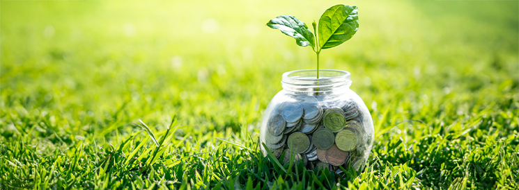 Jar with coins sprouting plant in grass field